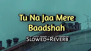 tu na jaa mere Badshah ( slowed + reverb ) | FEEL LOFI