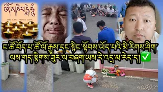 ང་ཚོ་བོད་པ་ཚོ་ལོ་རྒྱུས་དང་སྙིང་སྟོབས་ཡོད་པའི་མི་རིགས་ཤིག་ལས་གད་སྙིགས་ཟུར་ལ་བཞག་ཡས་དེ་འདྲ་མ་རེད་ད།✅✅