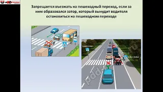 Спец сигналы, обязанности пешеходов, обязанности пассажиров, пешеходные переходы и остановки МТС