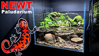 NEWT PALUDARIUM WATERFALL SETUP: MOSS & DETAILS || MD FISH TANKS