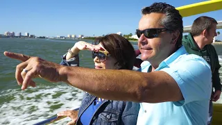 St. Pete/Clearwater, Florida | Stunning Beaches & Dolphin Tours