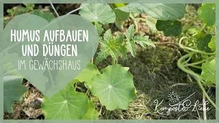 💚 Humus aufbauen im Gewächshaus 🍅 Biologisch düngen mit Mulch und Mischkulturen