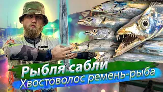 КИШАЩЕЕ РЫБОЙ море, морская рыбалка ночью. РЫБА-САБЛЯ. Тайвань. 2019/08