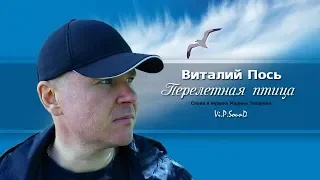 Виталий Пось - Перелетная птица (Official Video 2019)