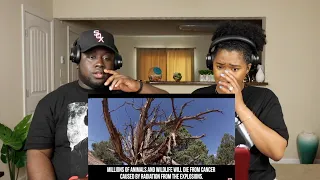 Oh Wow!!! | 10 Things That Will Happen When Humans Go Extinct | Kidd and Cee Reacts