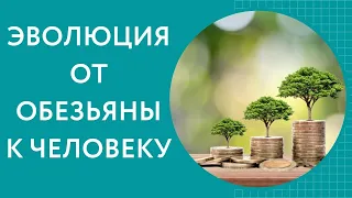 Эволюция человека. Человек произошел от обезьяны?