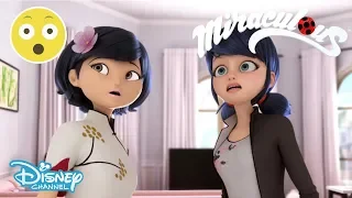 Miraculous Tales of Ladybug & Cat Noir | The Anniversary | Disney Channel UK