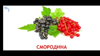 Карточки Домана Часть 9 Ягоди!