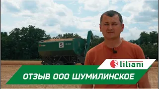 Уборка с бункерами-перегрузчиками Лилиани в ООО Шумилинское 2022