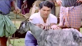 Jagathy & Mammootty Comedy Scenes | Non Stop Comedys | Pappu & Sreenivasan Comedys | Aayirappara