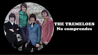 The Tremeloes - No comprendes