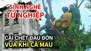 Đứng Hình Khi Biết Nguyên Nhân Cái Chết Của Vua Khỉ Cà Mau | Quí tv