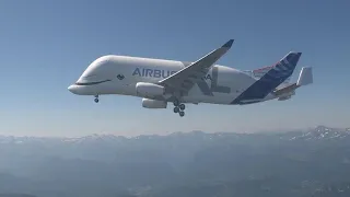 Mira al Airbus BelugaXL volar por primera vez