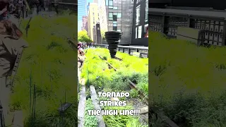 Tornado Strikes The High Line!!!   New York City - NYC Art