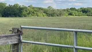 BIG MONEY, BIGGER PLANS: Commissioners buy $20 million Immokalee farm