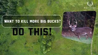 Top SECRET to Killing More BIG BUCKS!!