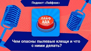 Чем опасны пылевые клещи и как от них избавиться?