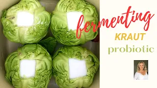 FERMENTING KRAUT - HOW TO MAKE HOMEMADE PROBIOTIC