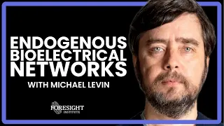 Michael Levin | Endogenous Bioelectrical Networks: An Interface to Regenerative Medicine