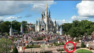 Walt Disney World Vlog | Day 6 | Cinderella's Royal Table | October 2019 | Adam Hattan