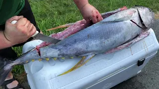 tuna cape cod filet yellowfin by PeakSales Inc.