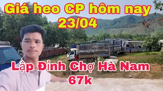 Giá Heo Ngày Hôm Nay Lập Đỉnh Tại Chợ Hà Nam 67k,@nongtraihoakieu