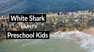 White Shark Hunts Preschool Kids - Shark Drone Footage