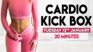 CARDIO KICK BOX (intense fat burn) | 20 minute Home Workout