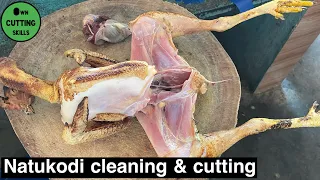 Amazing big Natukodi cleaning and cutting skills | Big country chicken cleaning and cutting skills