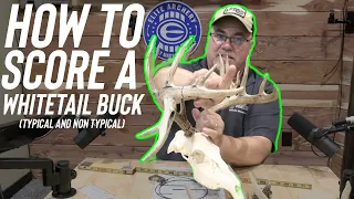 Score A Whitetail Buck! How to!