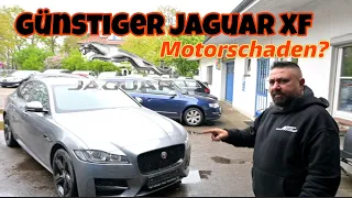 Günstig Katze mit Motor Probleme. Jaguar XF. Motorschaden?Ottocast P3