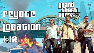 GTA 5- Peyote Location #12 (Killer Whale)