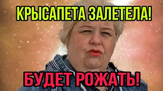 КРЫСАПЕТА ЗАЛЕТЕЛА! БУДЕТ РОЖАТЬ! ОЛЬГА УРАЛОЧКА LIVE. ОБЗОР