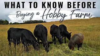 The TOP 13 THINGS CITY PEOPLE should know when BUYING A HOBBY FARM | How we FOUND our dream farm!