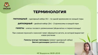 Всё про водоросли — Биология