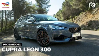 Cupra León 300: Fiel a sus principios [PRUEBA - #POWERART] S08-E18