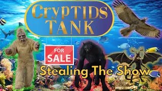 Cryptids Tank Update - Who's Stealing The Show?