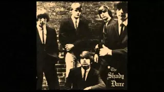 Shady Daze - I'll Make You Pay .(1967).*****