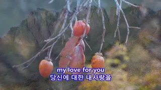 Nothing's Gonna Change My Love For You - Glenn Medeiros: with Lyrics(영어가사/한글번역) || Naejangsan (내장산)