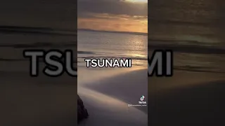 TSUNAMI