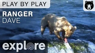 Ranger Dave - Katmai National Park - Brown Bear Play By Play