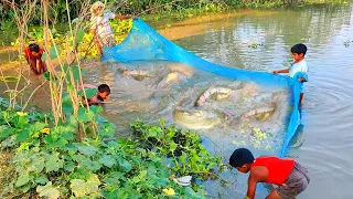 Amazing net fishing video - Best traditional net fishing video by village people (Part-42)