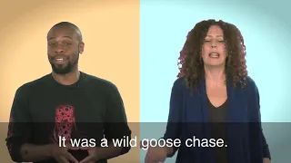 English in a Minute: Wild Goose Chase