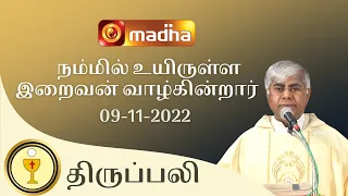 🔴 LIVE 09 November 2022 Holy Mass in Tamil 06:00 PM (Evening Mass) | Madha TV