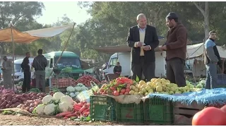 Le Maroc vert : l'agriculture familiale au coeur du développement