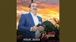 Родина (Даймахкахь)