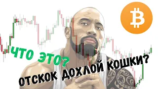 БИТКОИН - ОТСКОК ДОХЛОЙ КОШКИ?