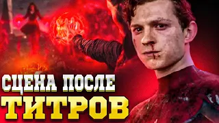 СЛИТАЯ ВТОРАЯ Сцена после титров Человек Паук 3 Нет Пути Домой !