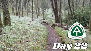 Day 22 | Cruising Through the Smokies | 2024 Appalachian Trail Thru Hike