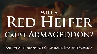 Will a Red Heifer Cause Armageddon near the April 8 2024 Eclipse and what it means